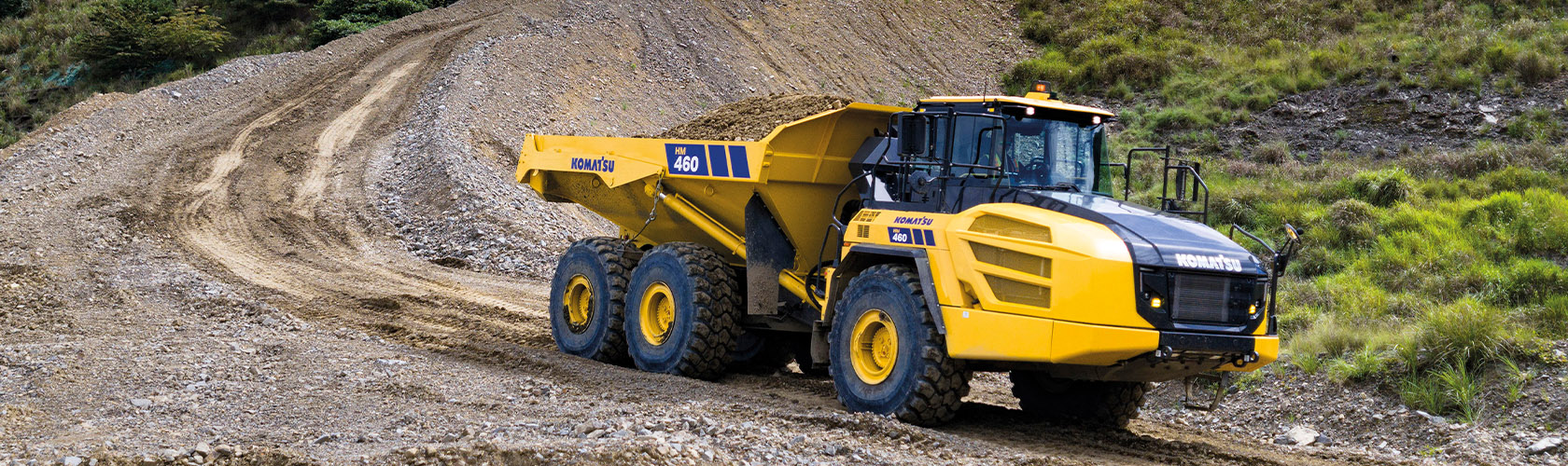 Dumper Articolati